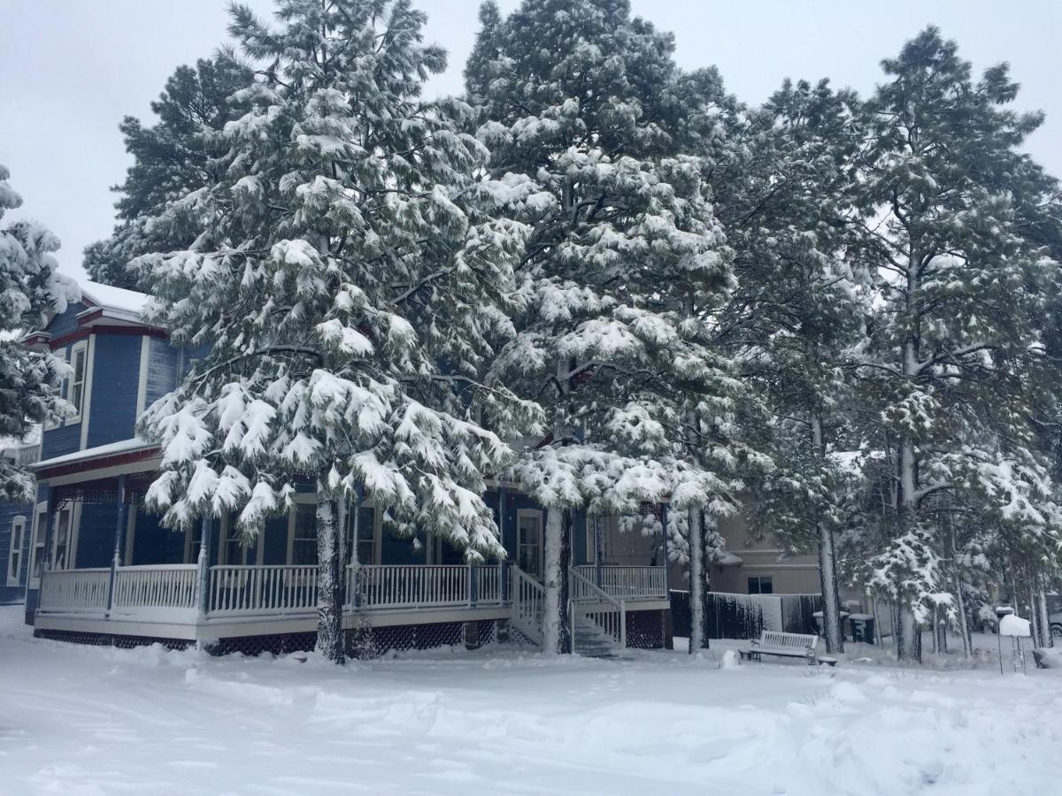Starlight Pines Bed & Breakfast Flagstaff Buitenkant foto